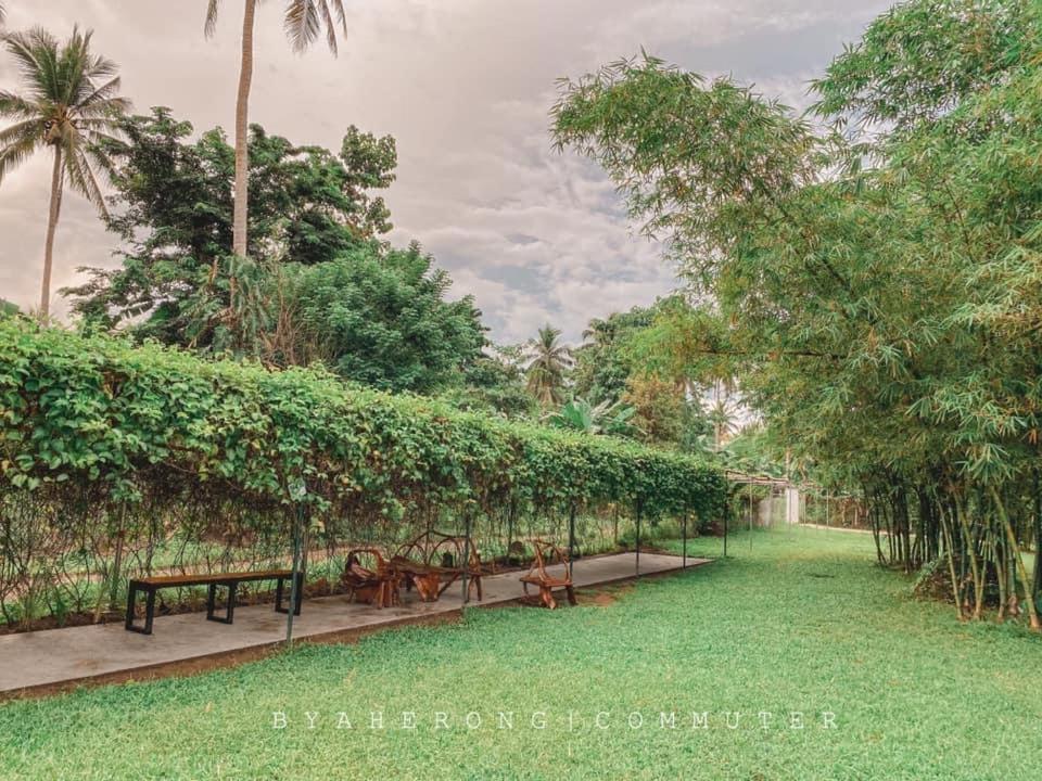 Dreamink Farm Og Myl'S Place Sorsogon Exterior foto
